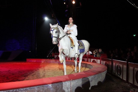 circus-krone
