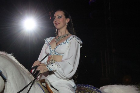 circus-krone