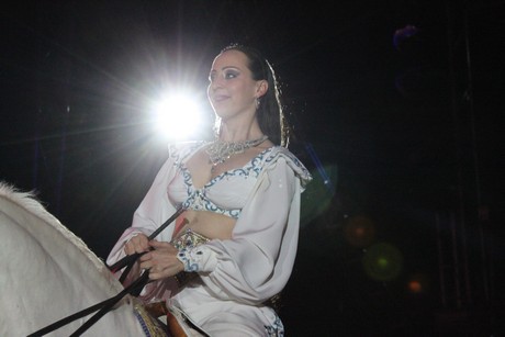 circus-krone