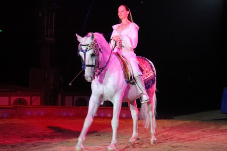 circus-krone