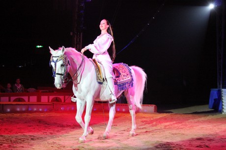 circus-krone