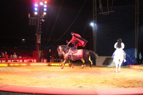 circus-krone