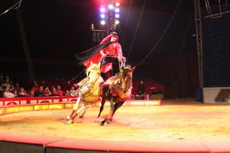 circus-krone