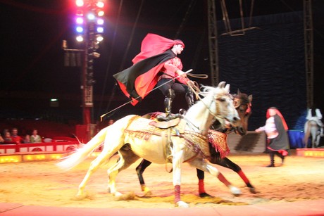 circus-krone