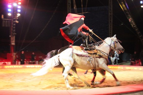 circus-krone