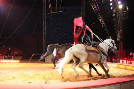 circus-krone