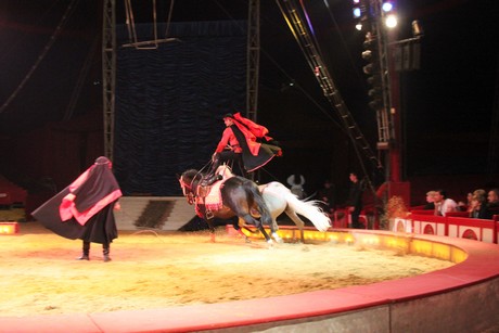circus-krone