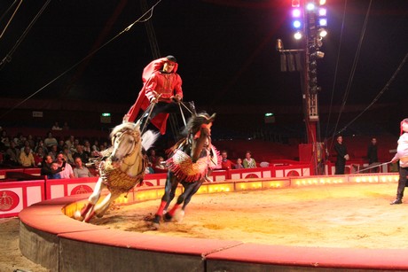 circus-krone