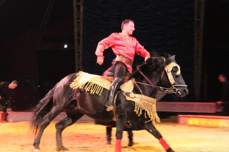 circus-krone