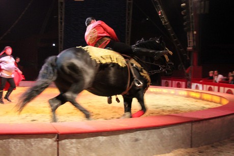 circus-krone