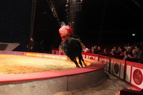 circus-krone