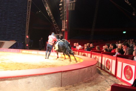 circus-krone