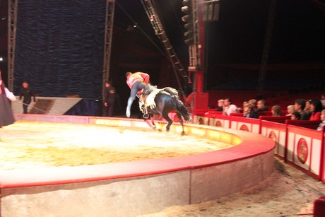 circus-krone