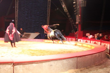 circus-krone