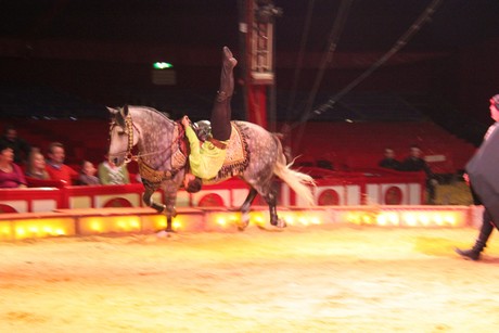 circus-krone