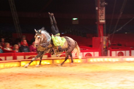 circus-krone