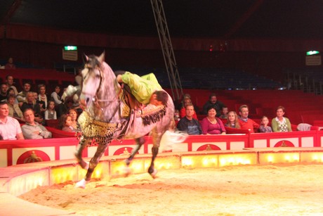 circus-krone