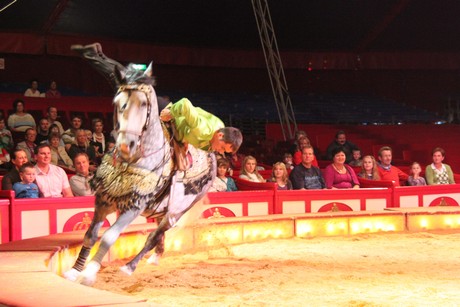 circus-krone