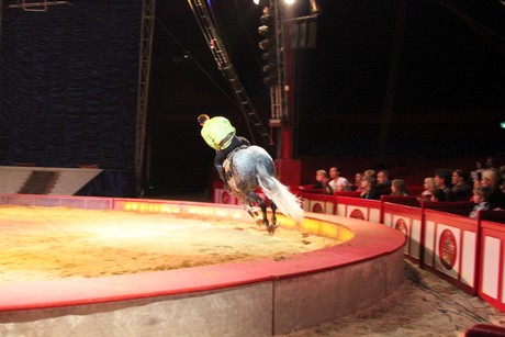 circus-krone