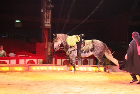 circus-krone