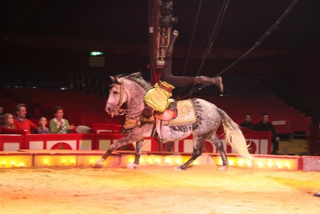 circus-krone