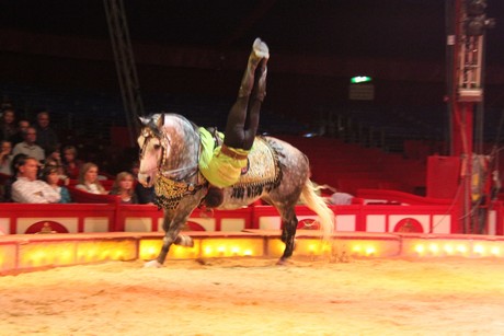 circus-krone