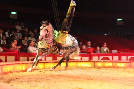 circus-krone