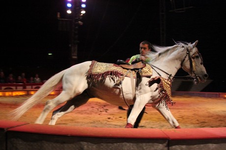 circus-krone