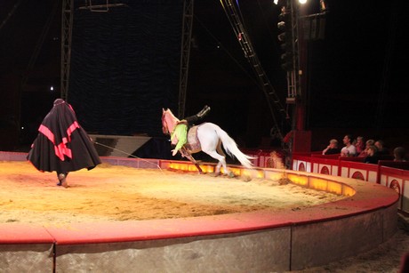 circus-krone
