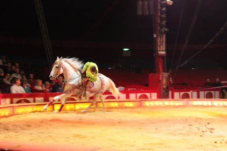 circus-krone