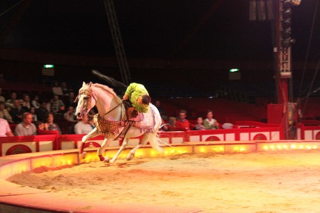 circus-krone