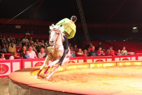 circus-krone