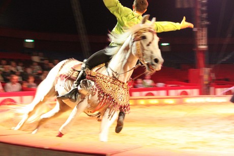 circus-krone