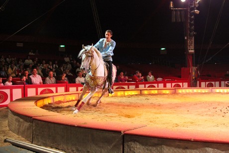 circus-krone