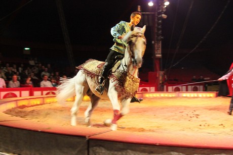 circus-krone