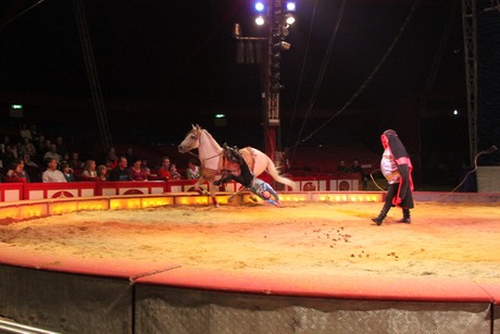 circus-krone