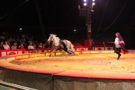 circus-krone