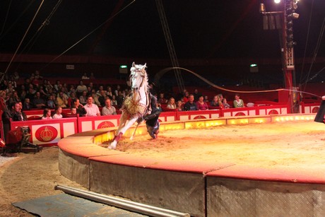 circus-krone