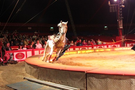 circus-krone