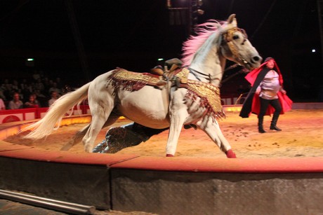 circus-krone