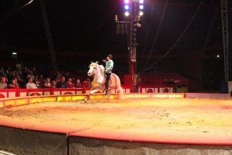 circus-krone