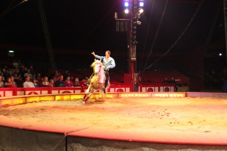 circus-krone