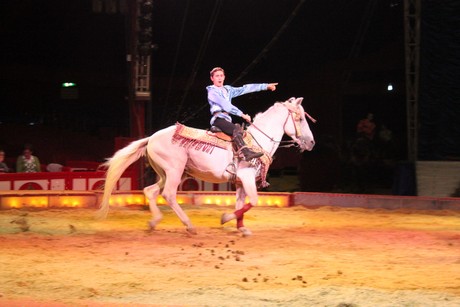 circus-krone