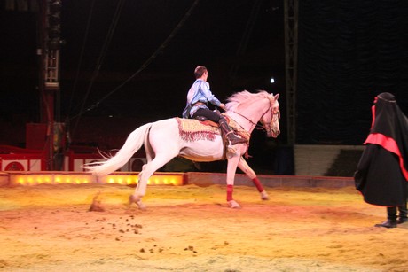 circus-krone