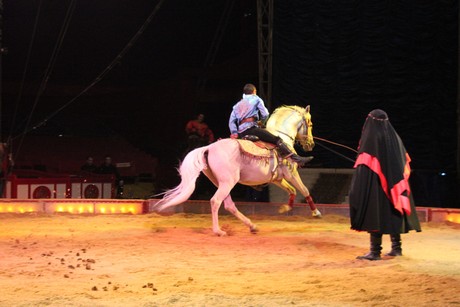 circus-krone