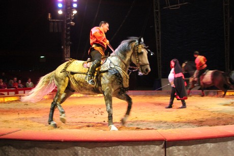 circus-krone