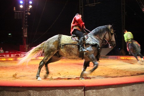circus-krone