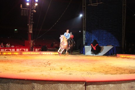 circus-krone