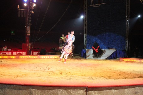 circus-krone