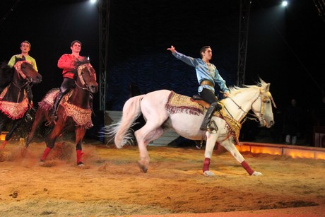 circus-krone